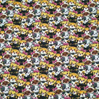 Úplet Kočky "0278"