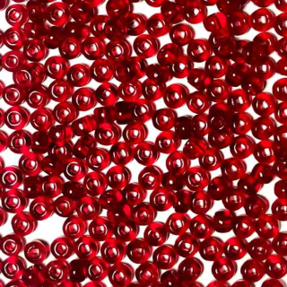 Rokajl 6/0 "07017" 20g/bal
