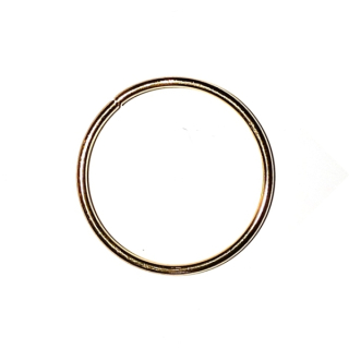 Kruh lapač 100mm barva zlata"18132"1ks/bal