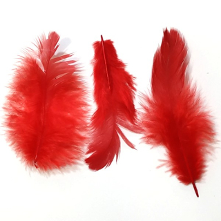 Péří červené cca 1 - 10 cm"38007"10g/bal