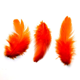 Péří oranžová cca 1 - 10 cm"38009"10g/bal