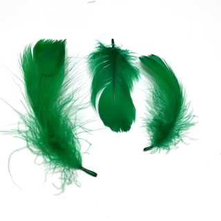 Péří tmavě zelená cca 5 - 12 cm"4333"16g/bal