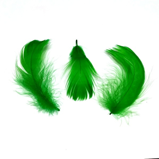 Péří zelená cca 5 - 12 cm"4334"16g/bal