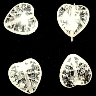 Srdíčko 15x16mm"78084"1ks/bal